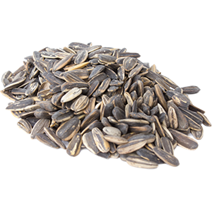 Sunflower seeds PNG-42954